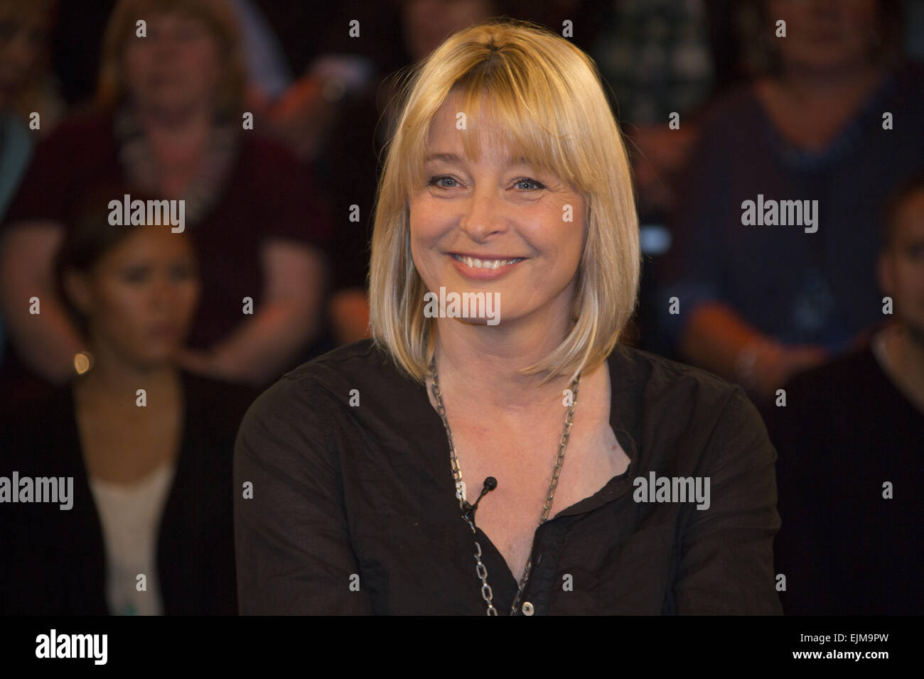 Cardinahl High Resolution Stock Photography And Images Alamy