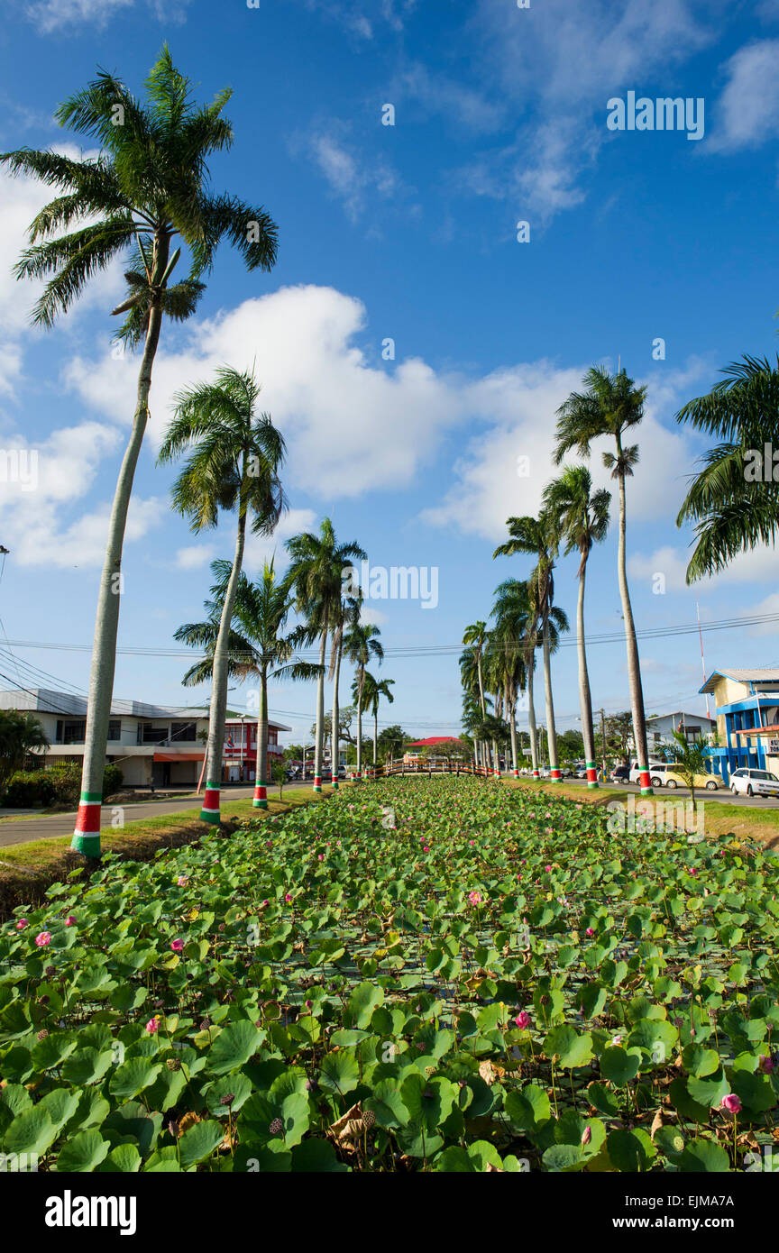 Canal, NieuwNickerie, Suriname Stock Photo Alamy