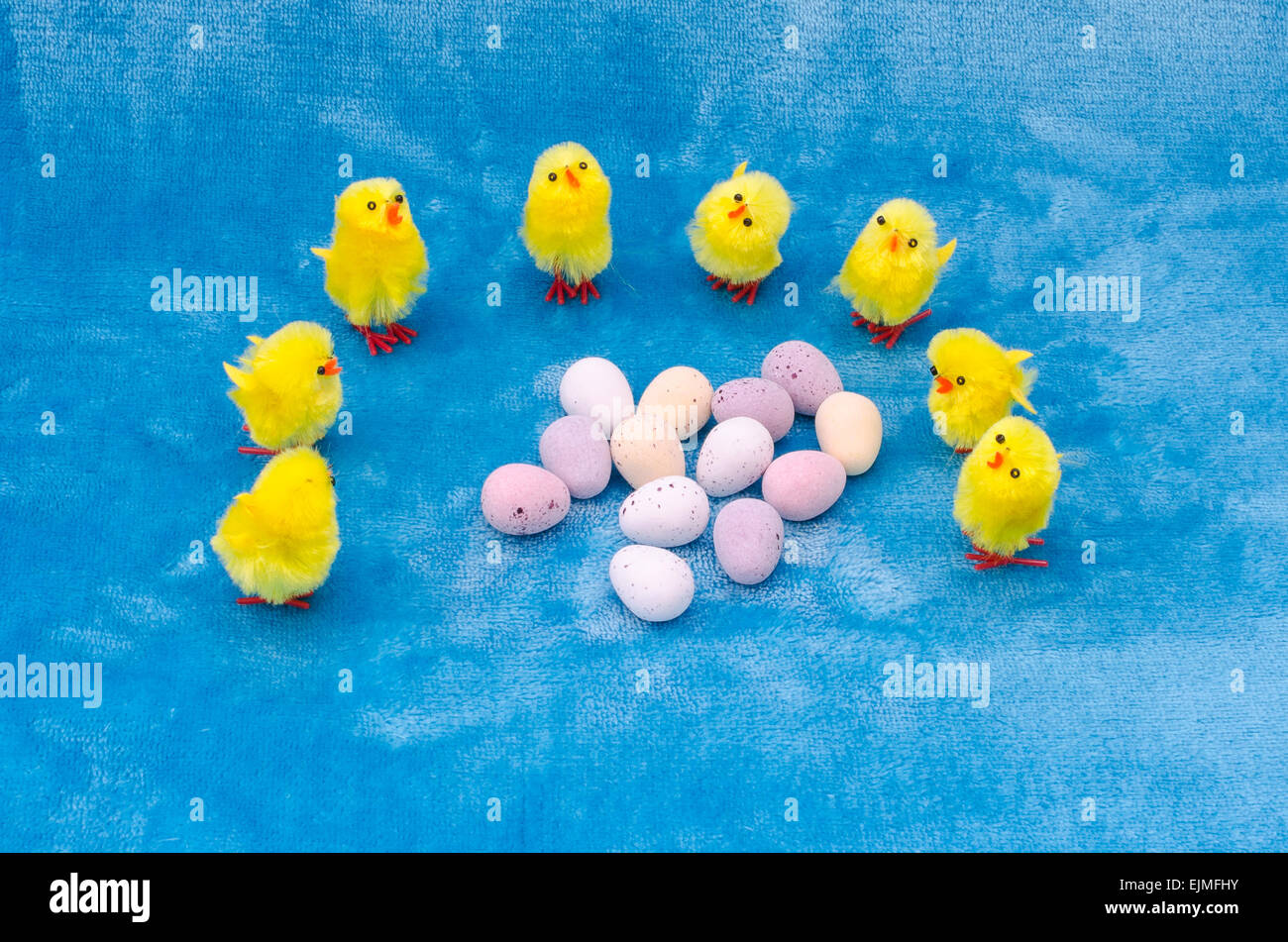 A clutch of little baby yellow toy Easter chicks encircle a collection of mini chocolate Easter eggs. Stock Photo