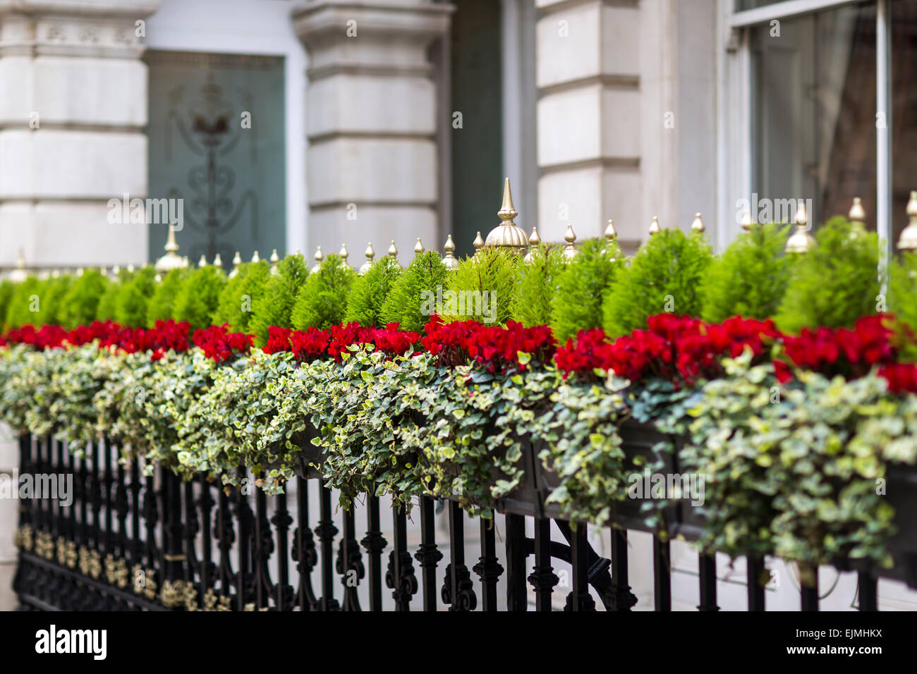 Wrought iron railing with shrubs and flowers, London Stock Photo