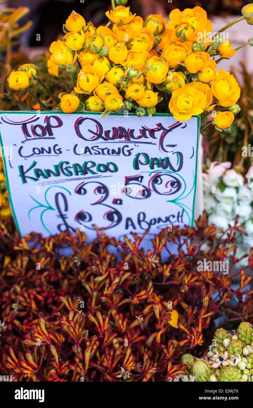 Cut flowers for sale, Columbia Flower Market, London Stock Photo Alamy