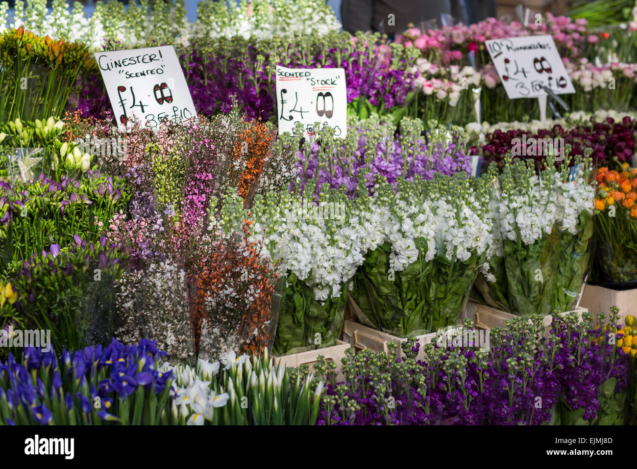 Cut flowers for sale, Columbia Flower Market, London Stock Photo