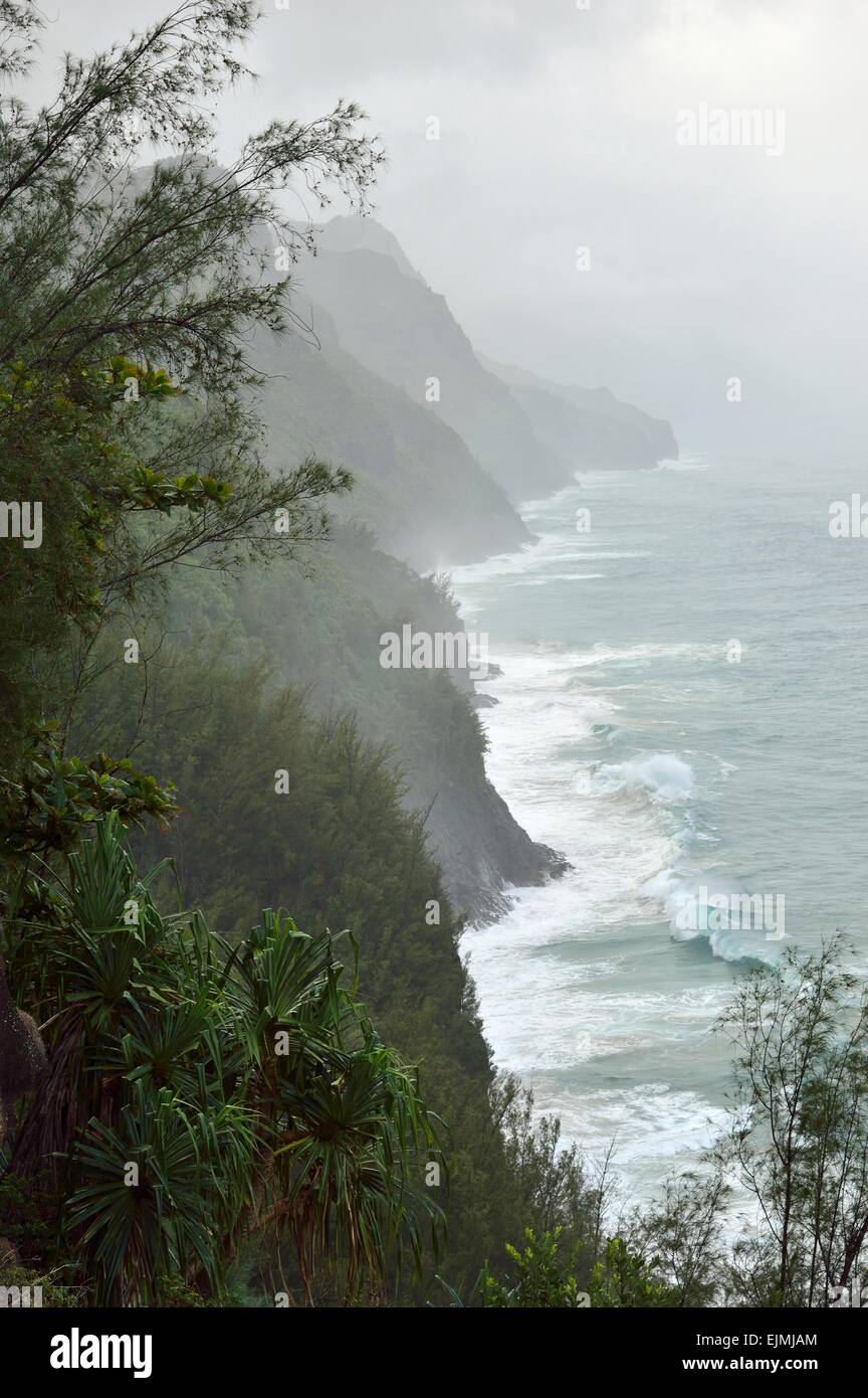 Along the Kalalau trail of the Na Pali coast region of Kauai Hawaii during stormy weather. Stock Photo