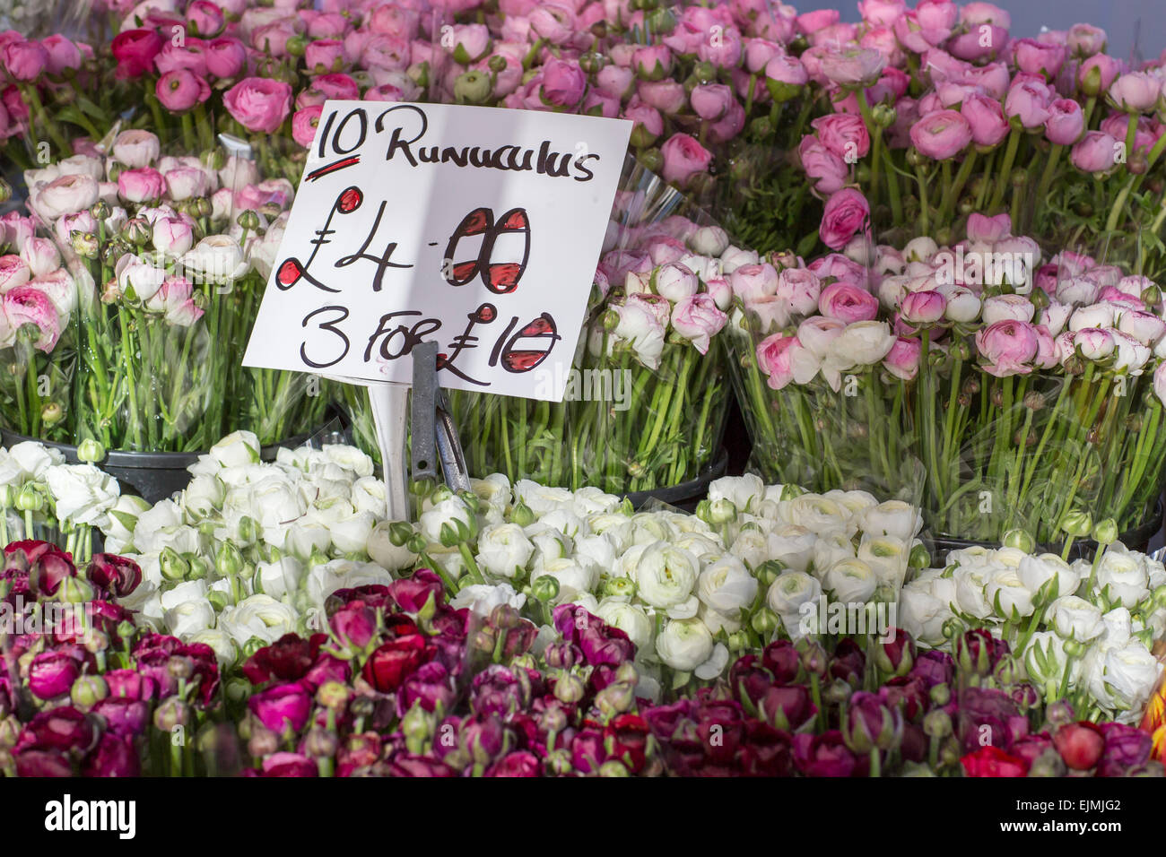 Cut flowers for sale, Columbia Flower Market, London Stock Photo Alamy