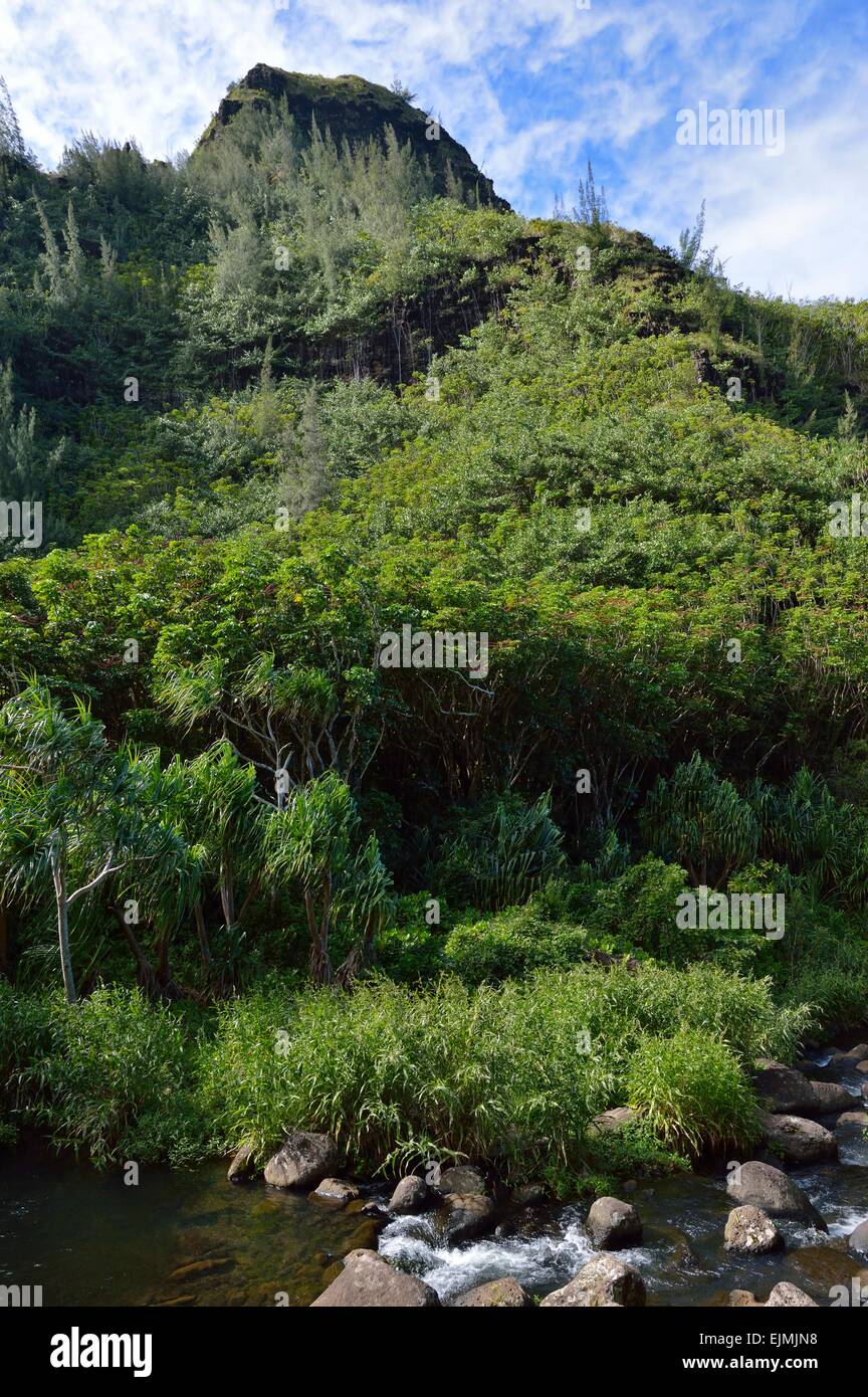 Kauai garden island hi-res stock photography and images - Alamy