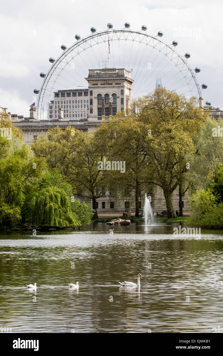 St. James's Park Lake with London Eye and swan Stock Photo