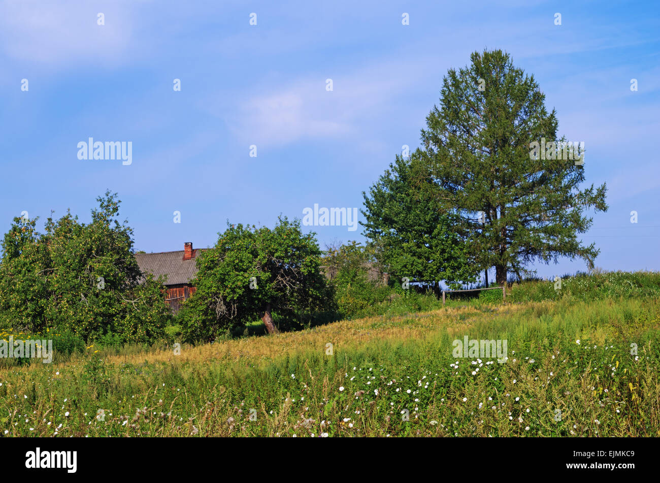 Rural landscape - garden Stock Photo - Alamy