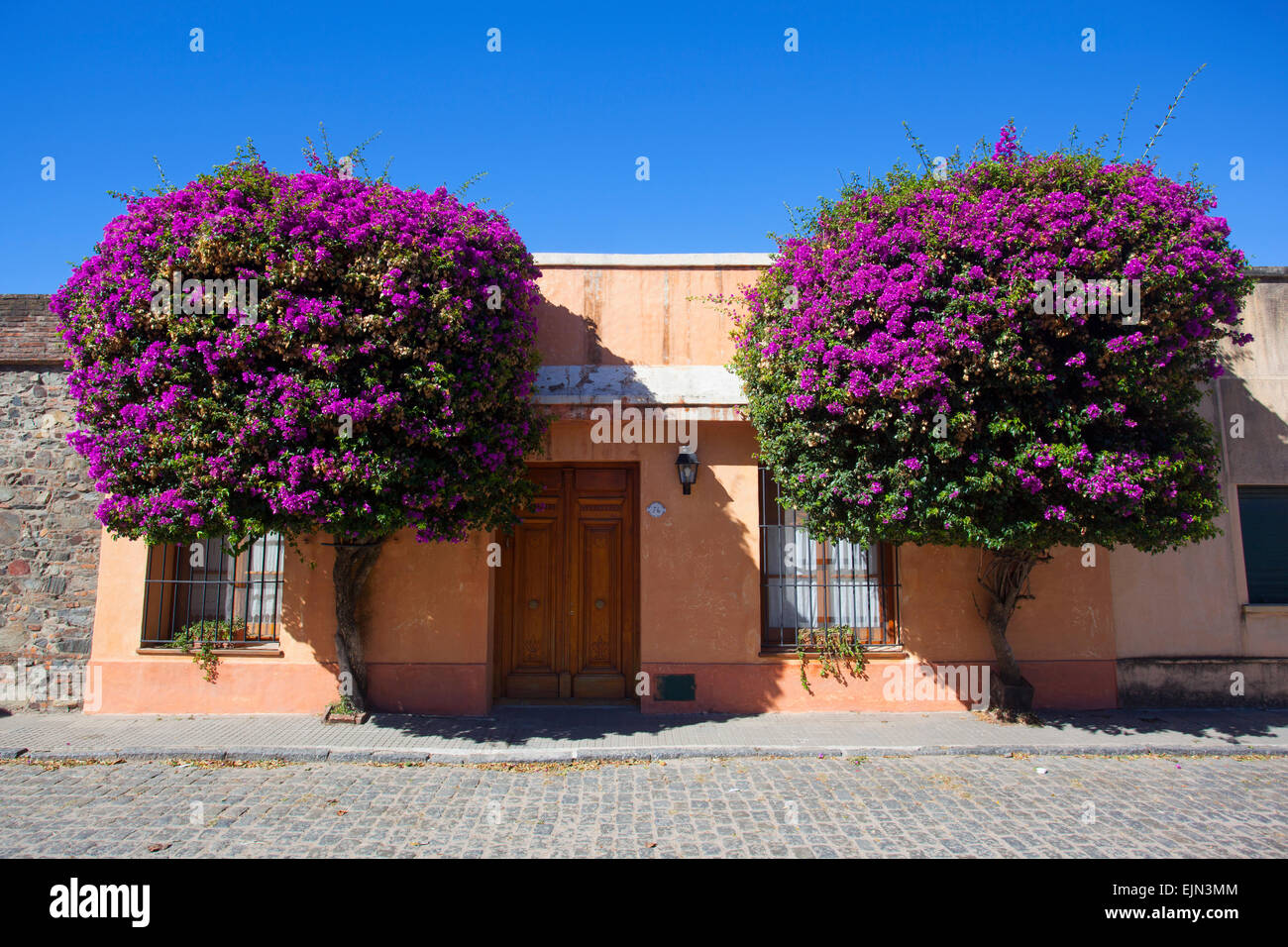 Old colonial house with violet flowers. Historical neighborhood of Colonia del Sacramento, Uruguay. Stock Photo
