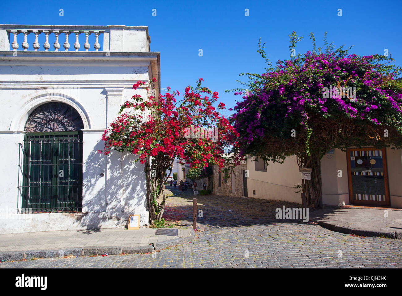 Old colonial house with flowers. Historical neighborhood of Colonia del Sacramento, Uruguay. Stock Photo