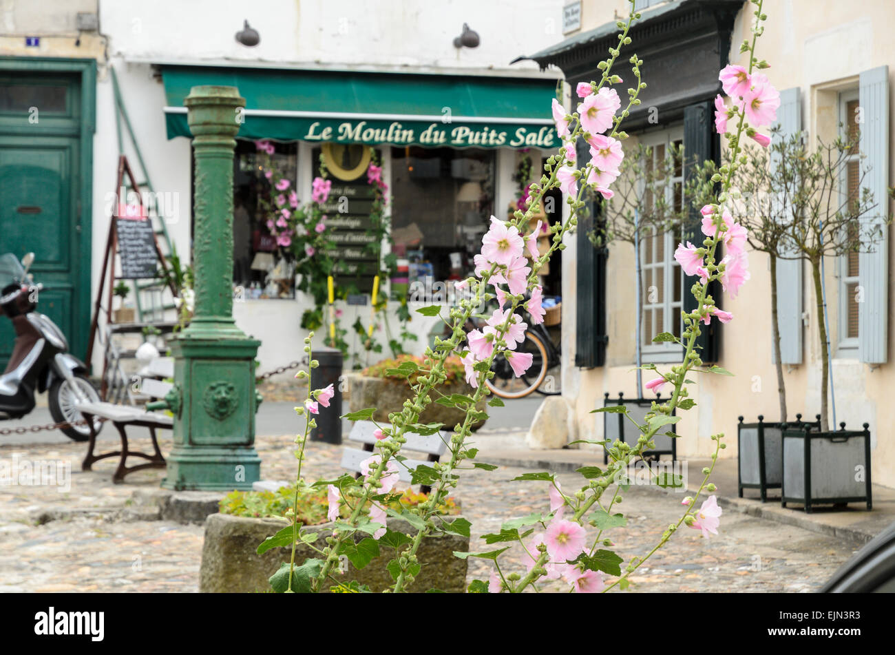 Hollyhocks grow in front of a vintage pump and shop in St Martin de Re. Ile de Re, France Stock Photo