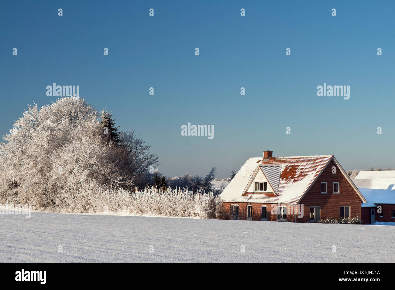 Farmhouse and frosty trees against a blue sky Stock Photo - Alamy