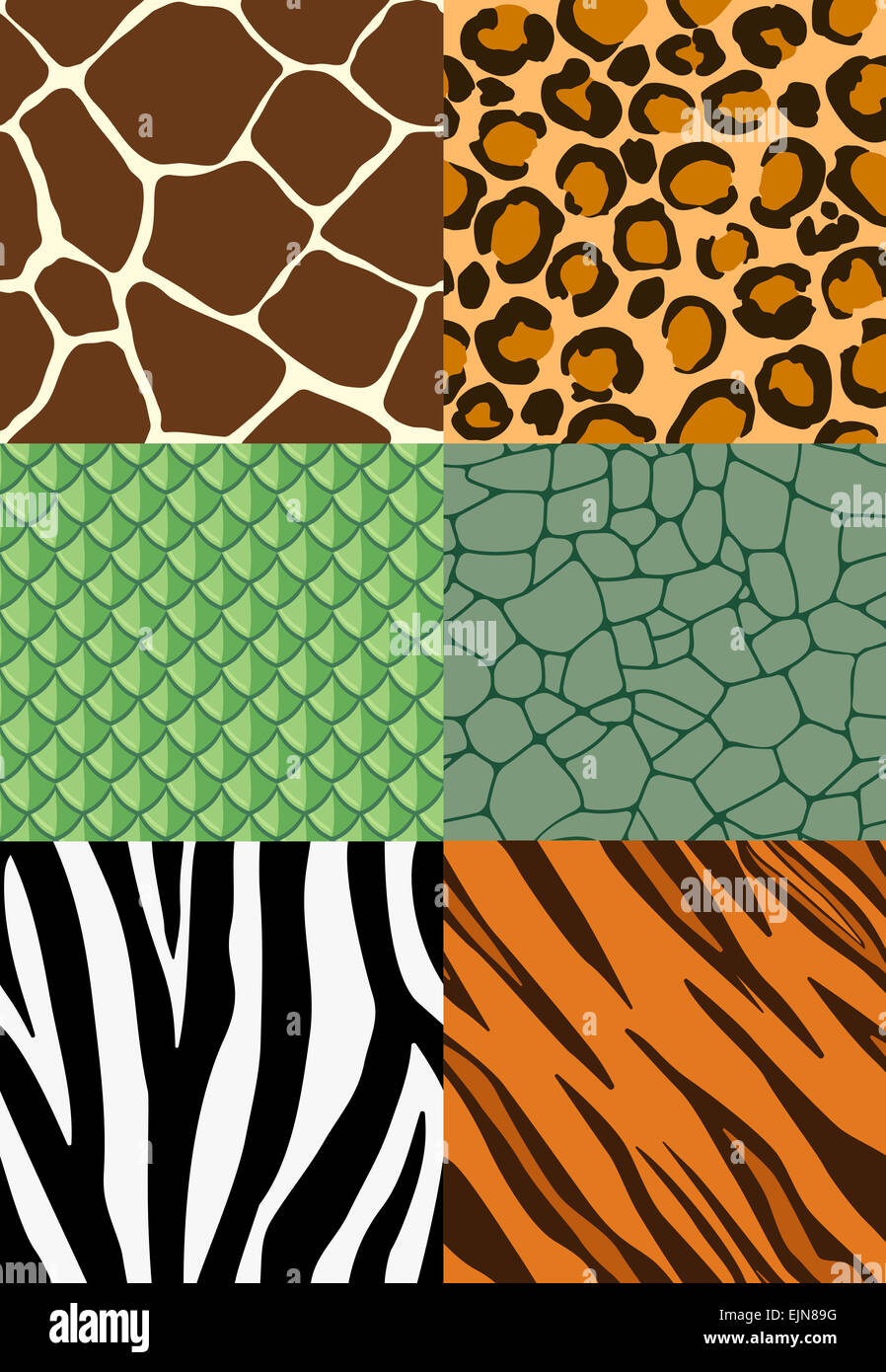 Animal print seamless pattern set of animal print tiles Stock Photo