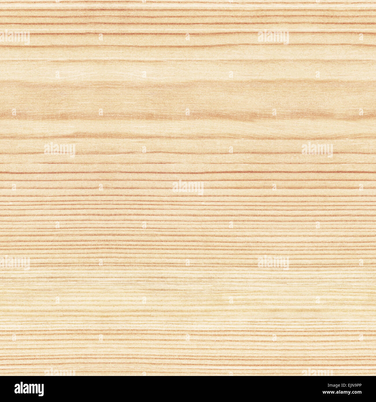 Plywood End Grain Texture