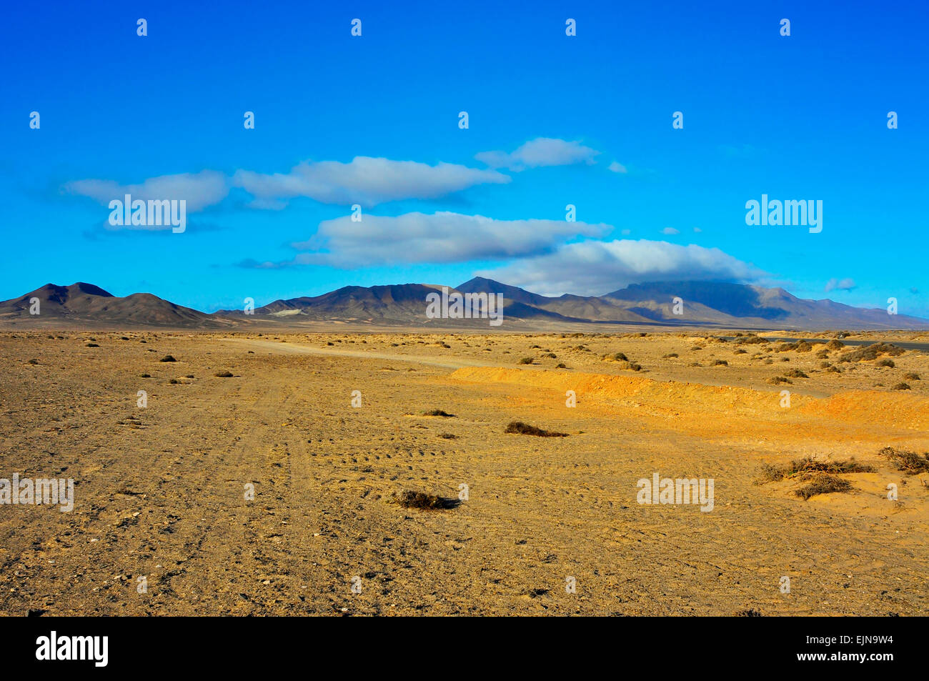 desert landscape in Jandia Natural Park in Fuerteventura, Canary Islands, Spain Stock Photo