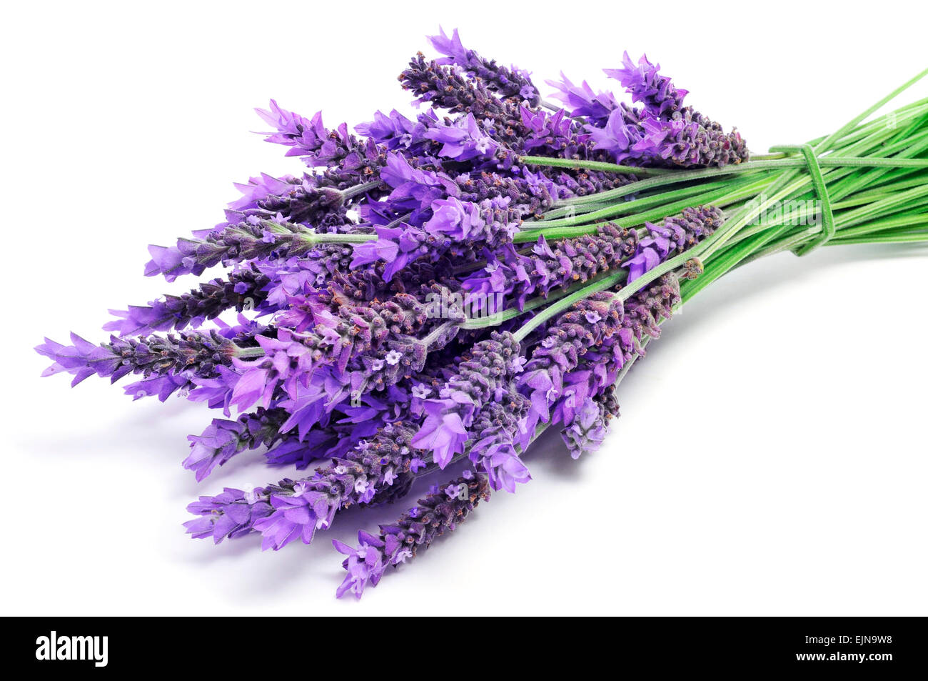 a pile of lavender flowers on a white background Stock Photo