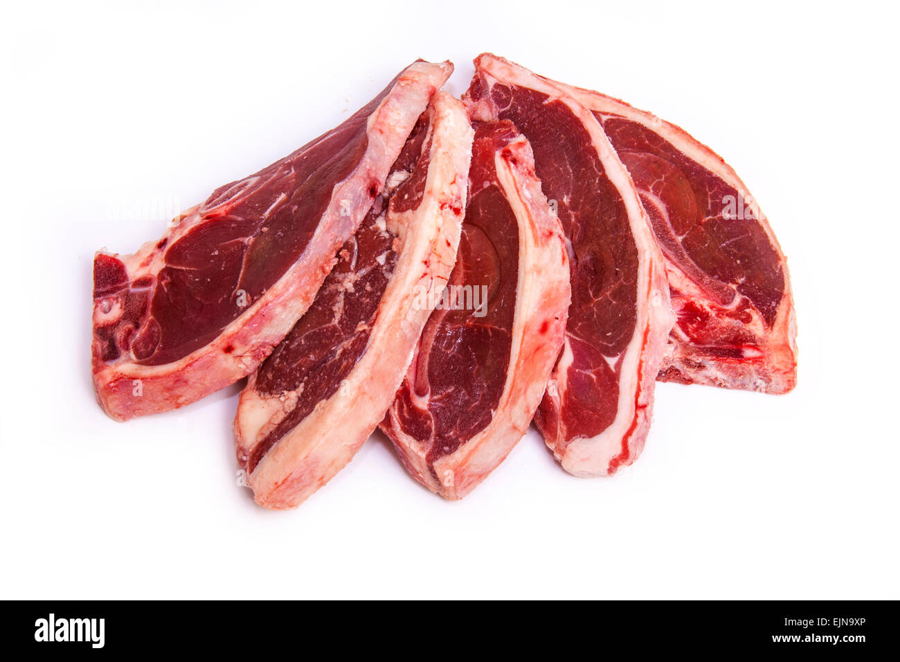 Uncooked New Zealand lamb chops isolated on a white studio background