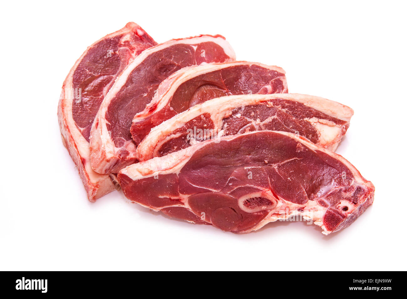 Uncooked New Zealand lamb chops isolated on a white studio background