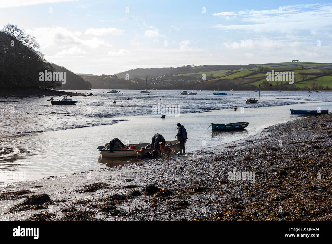 river dart at stoke gabriel,river dart,river, dart, devon, dartmouth
