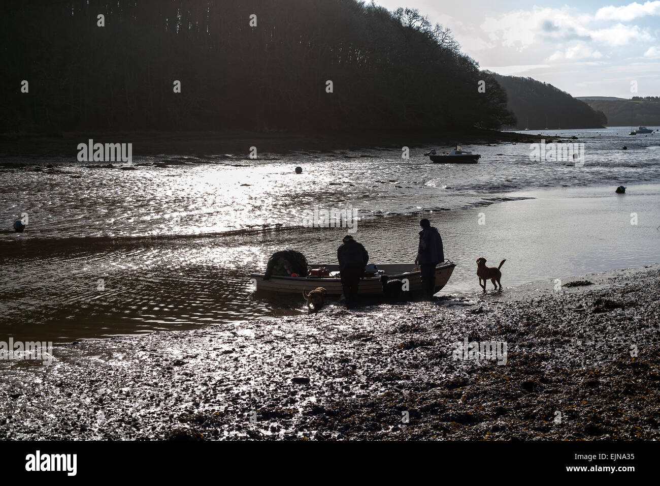 river dart at stoke gabriel,river dart,river, dart, devon, dartmouth