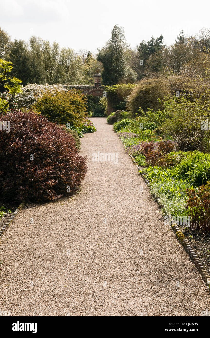 Gravel path topiary hi-res stock photography and images - Alamy