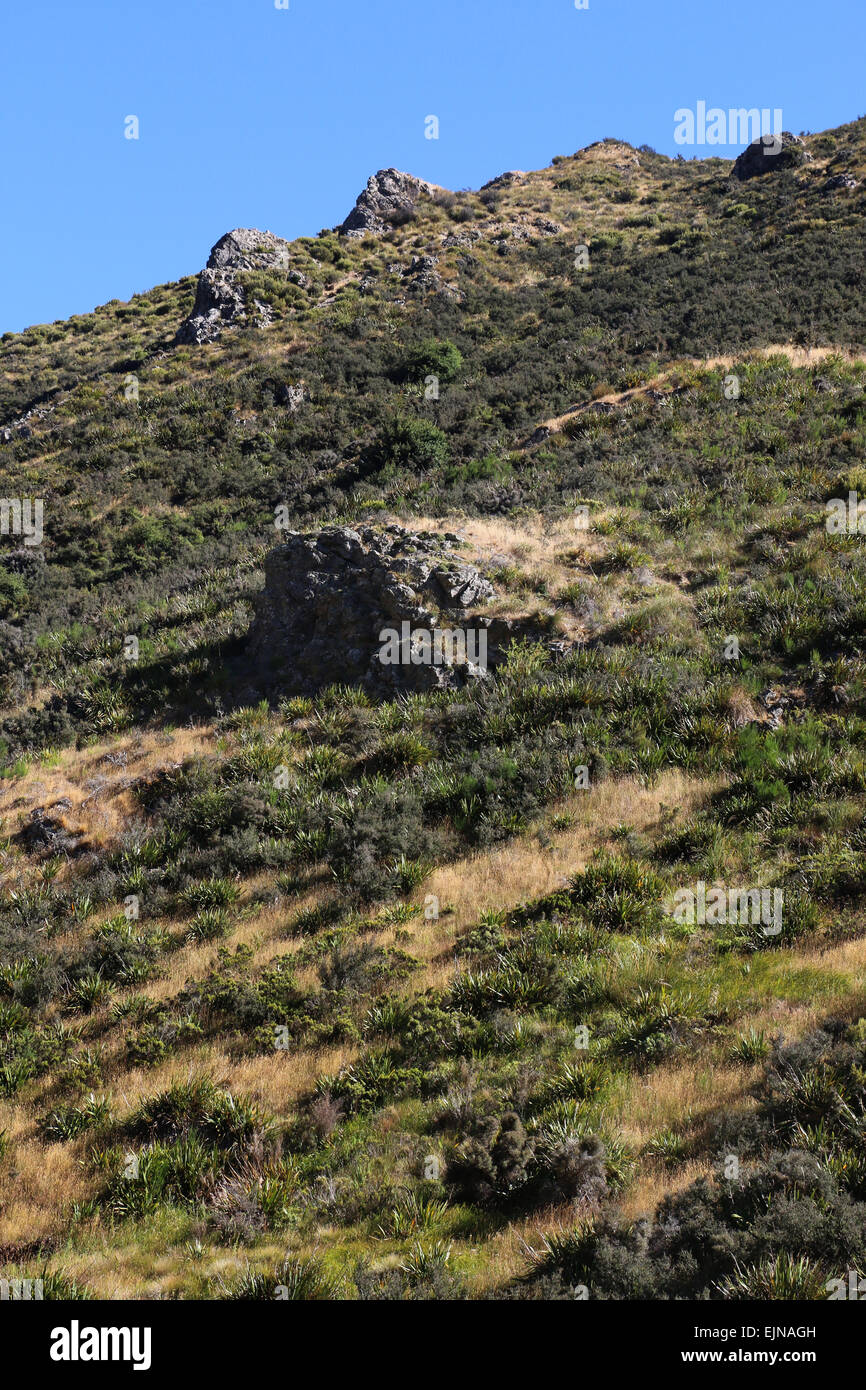 Korowai/Torlesse Tussocklands Park New Zealand in Torlesse and Big Ben ranges, in Canterbury’s high country, Stock Photo
