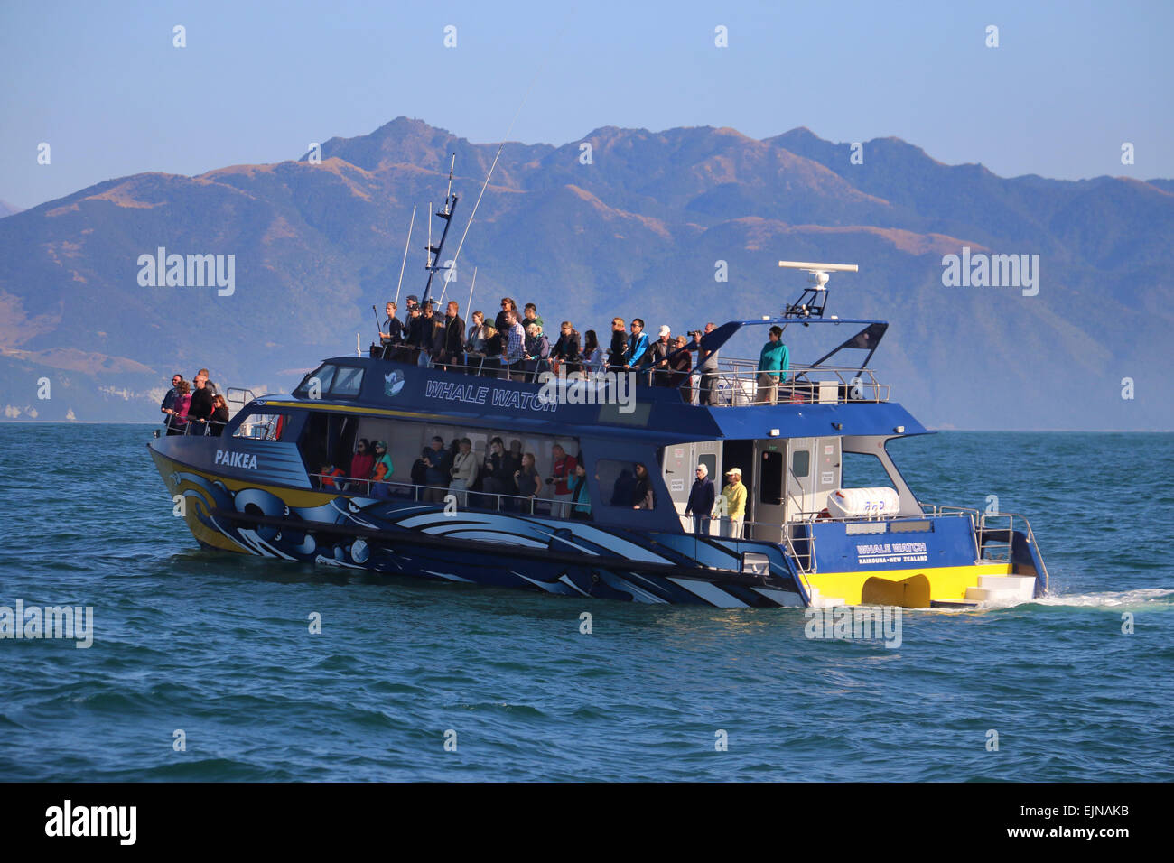 Whale Watching Boat With Tourists Kaikoura Coast New Zealand Stock