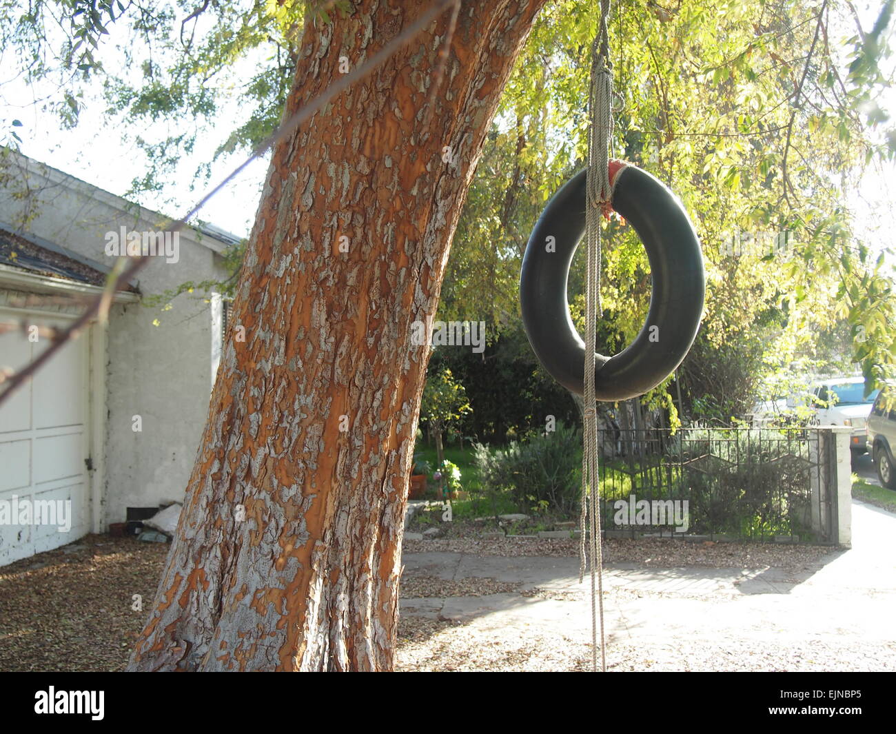 Rope tied to tree hi-res stock photography and images - Alamy