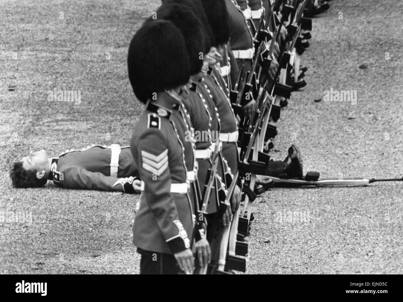 The Wobblies: Parading guardsmen threw a fit of the wobblies on Saturday (9-6-79). The weather was go humid they just could not toe the line during the final rehearsal for the Trooping the Colour ceremony in London on Saturday (16-6-79). In an unguarded moment, two young soldiers fainted. Thousands of tourists, crammed into Horse Guards Parade, watched as the two were carried away on stretchers - and the thin red line became a little thinner. Unguarded Moment....It's all too much for this guard, as he hits the deck. 9th June 1979 Stock Photo
