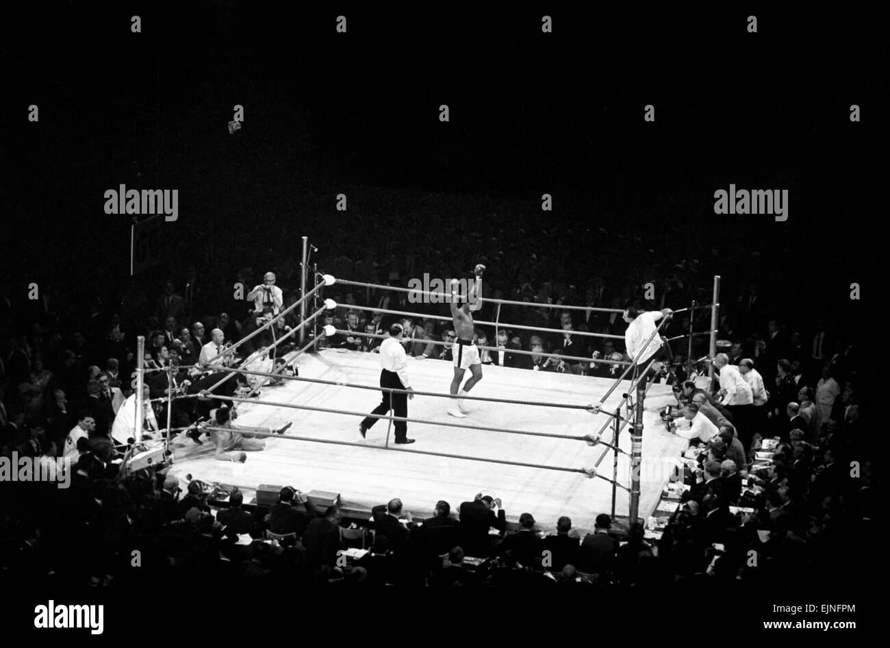 Boxing at Earls Court. Brian London v. Cassius Clay. Clay celebrates after knocking out London 1minute 40 into the third round. 6th August 1966 Stock Photo
