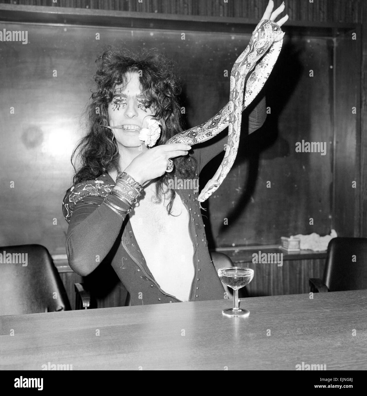 Pop singer Alice Cooper aged 23 flew into Heathrow Airport today with his pet boa constrictor, wearing a flimsy see-through shirt with no buttons. He calls his python Rachina and allowed it to slide over his face and neck. Alice Cooper flew in from the United States and will be appearing in Britain. He is staying in London. October 1971. Stock Photo