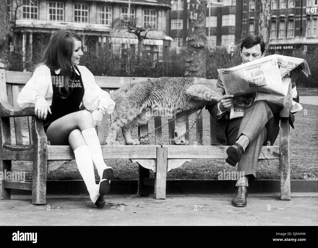 John reads on. Sales representative John Stonehouse just wants to read his Sunday paper. So he sat himself down on a bench in Russell Square and started to browse. With characteristic British reserve John did not allow himself to be distracted when this pretty young girl came and sat beside him. He did not like to be so rude to actually look at her. But there certainly did seem to be something a bit odd about the 'dog' she had with her. And what's more the wretched creature seemed determined to clamber all over him. Still, one must be British about these things - the girl, 22 year old Adrienn Stock Photo