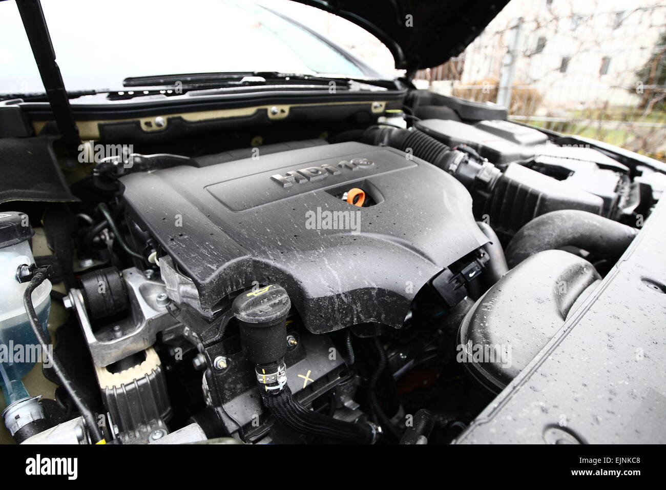 Gdynia, Poland. 30th March, 2015. Acc. recent studies exhaust from diesel engines contribute to an increase of 20 to 50% of lung cancer. Pictured: HDI type diesel engine mounted in Peugeot 508 car Credit:  Michal Fludra/Alamy Live News Stock Photo