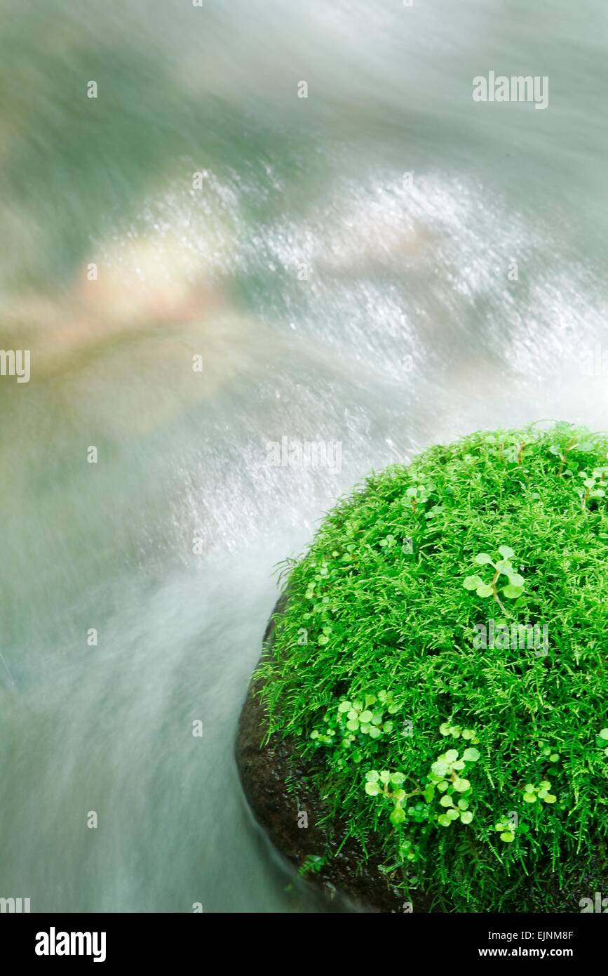 Refreshing mountain water hi-res stock photography and images - Alamy