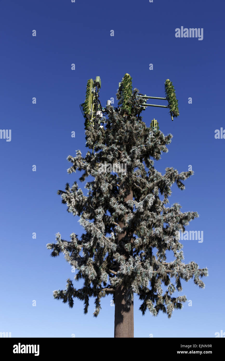 Cell phone tower disguised as a fir tree against clear blue sky Stock Photo