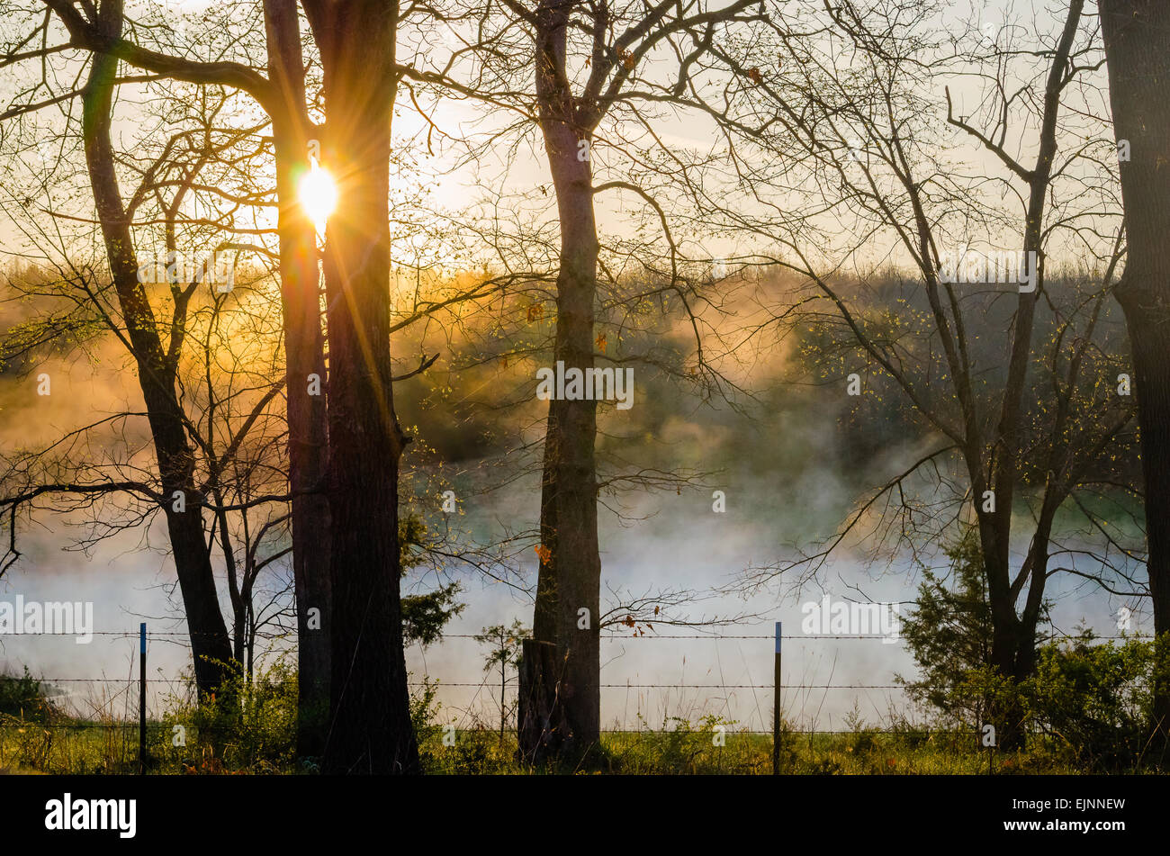 Missouri spring morning over a lake Stock Photo Alamy
