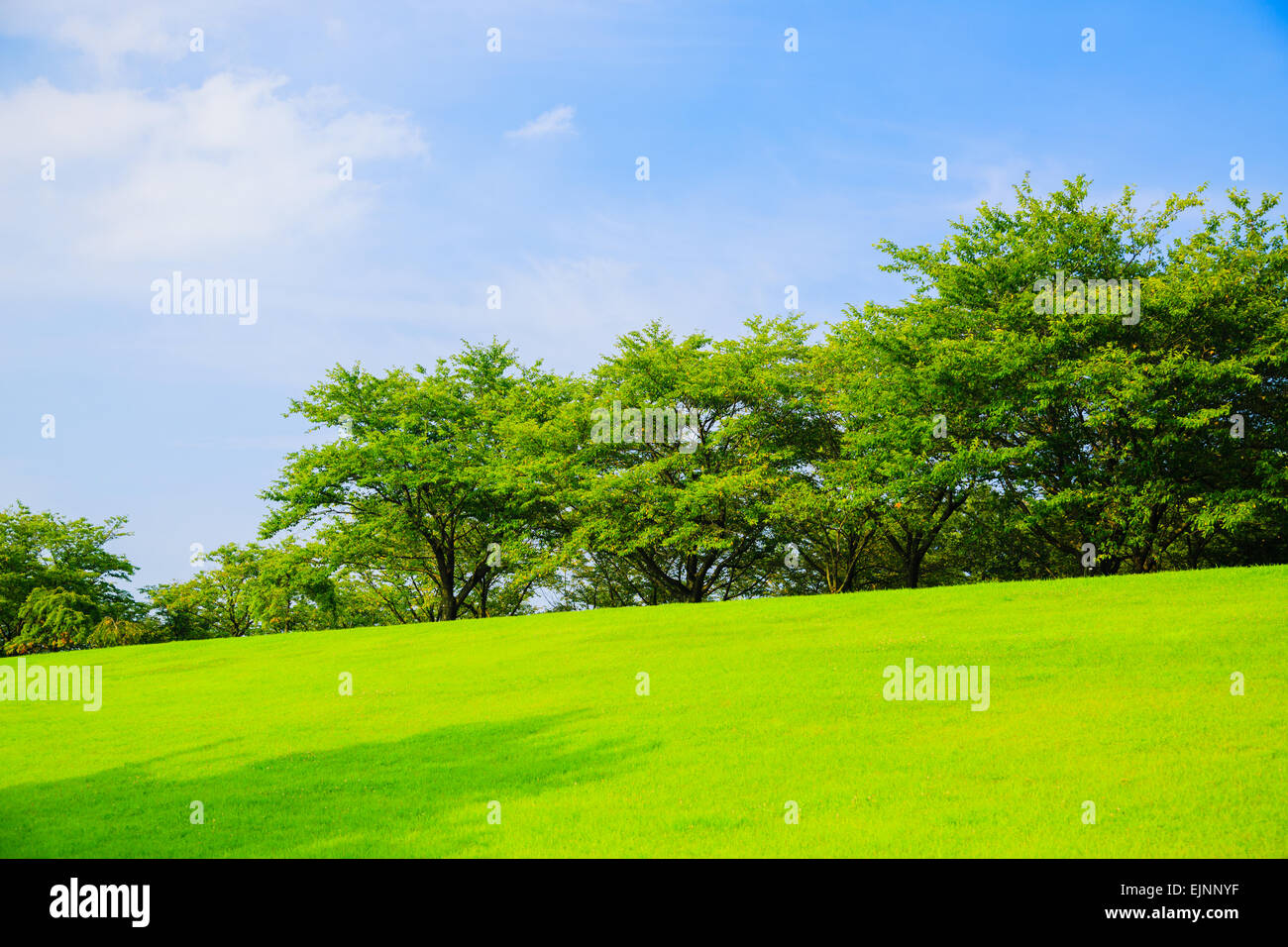 Tochigi Prefecture Japan Stock Photo Alamy