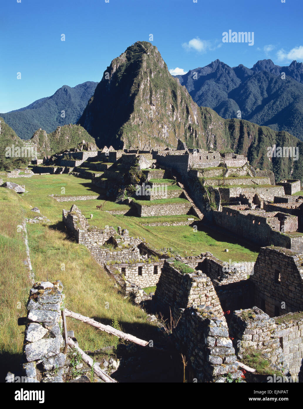 Machu Picchu Peru Stock Photo - Alamy