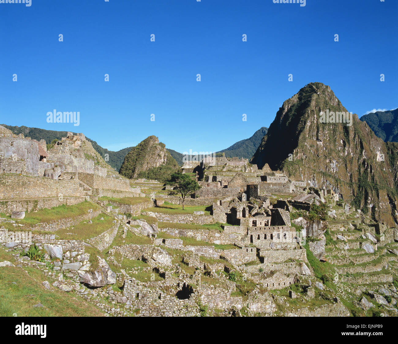Machu Picchu Peru Stock Photo - Alamy