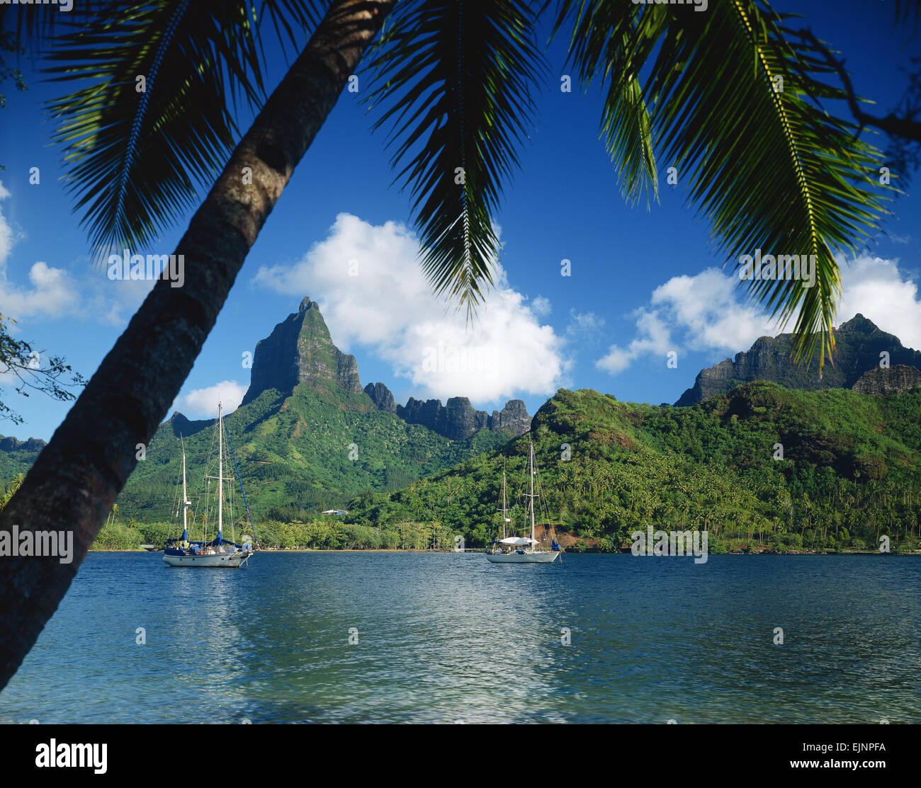 Tahiti Stock Photo