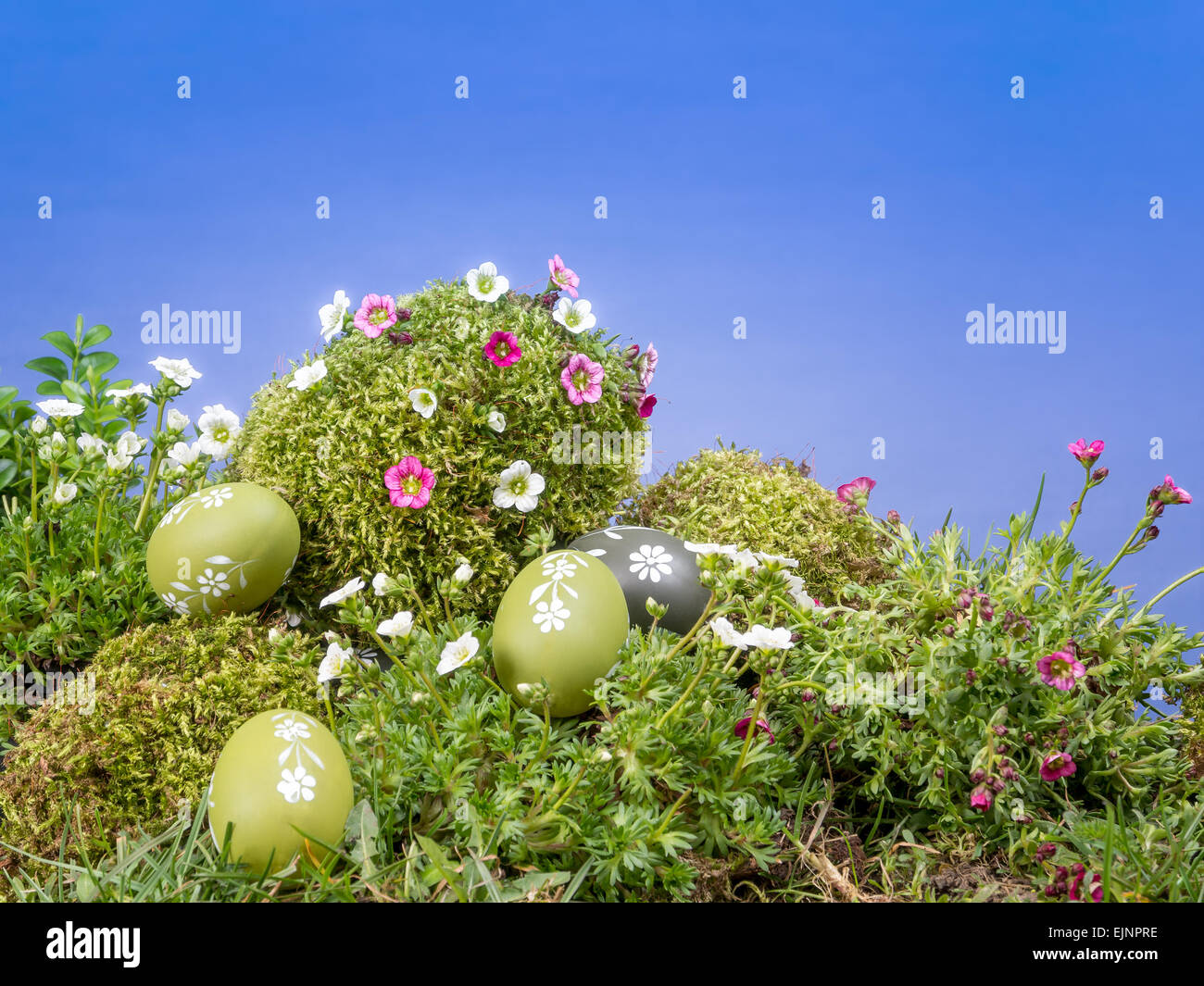 Easter eggs scattered in the grass and giant moss-grown egg with fresh spring flowers over blue sky Stock Photo