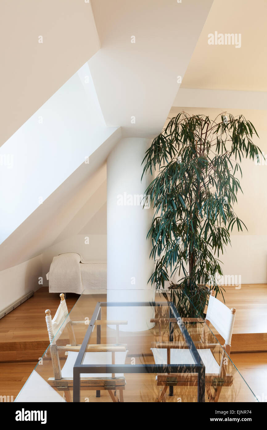 Interior, beautiful loft, hardwood floor, glass dining table Stock