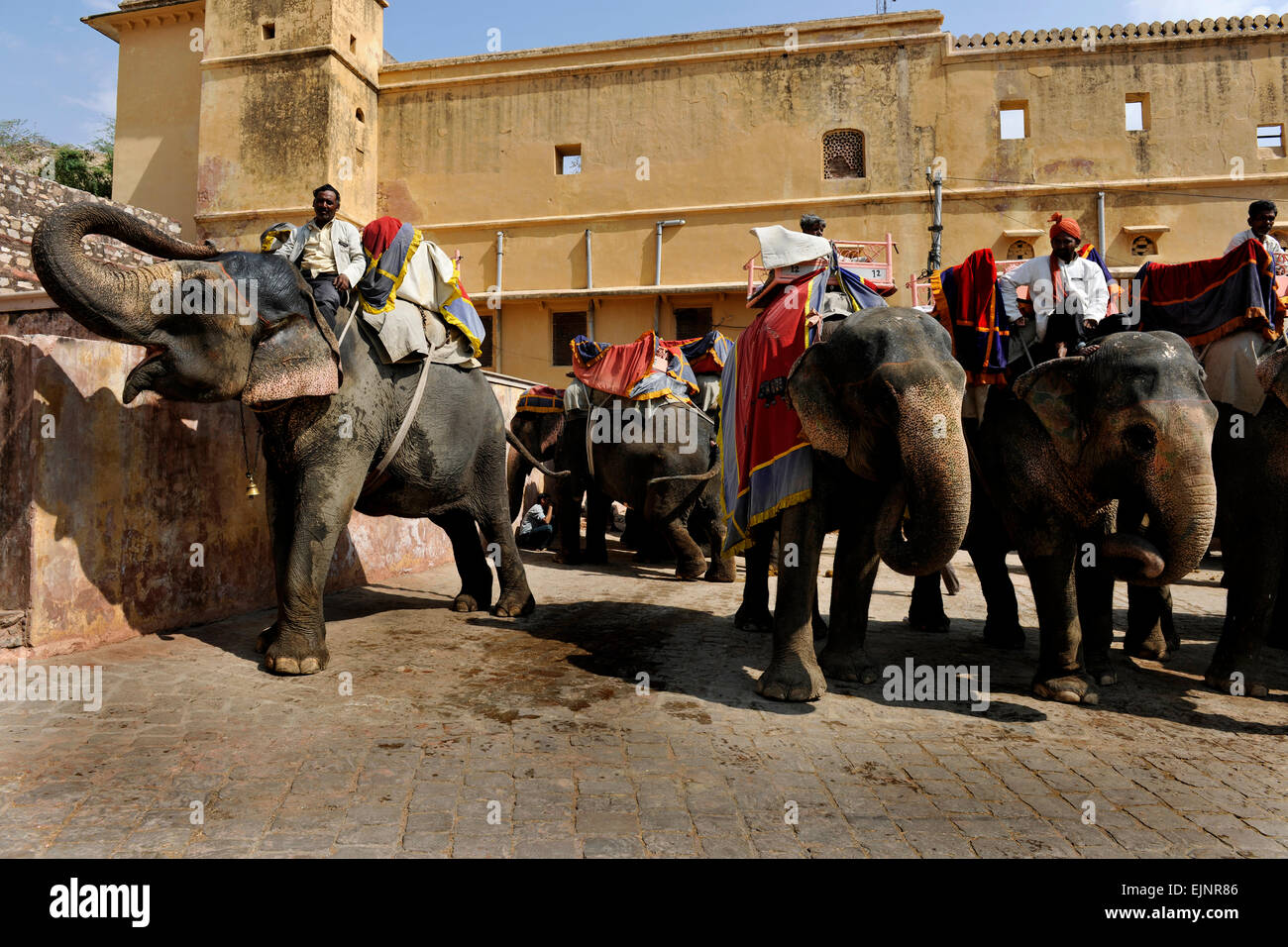 Elephant ride to the Amber Amer Fort Palace Jaipur Rajasthan Stock Photo