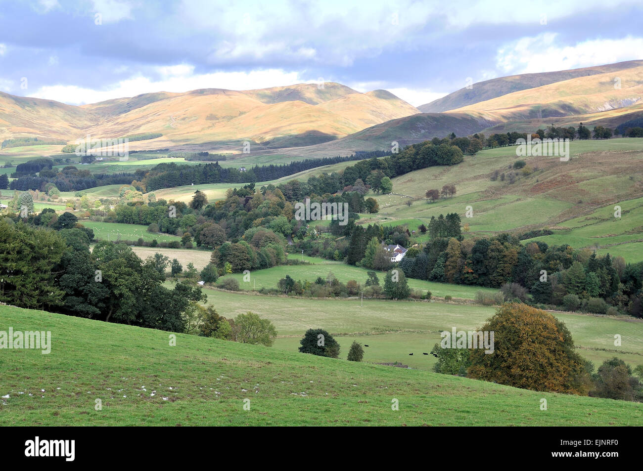 The Annandale valley north of Moffat in the Scottish Borders Stock Photo