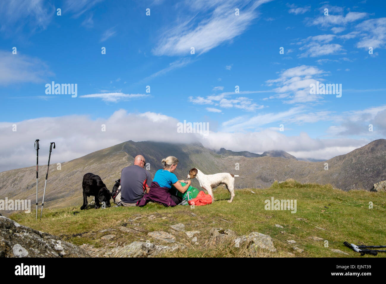 Walkers with dogs resting on Yr Aran mountain top summit with view to cloud covered Mount Snowdon in mountains of Snowdonia Wales UK Stock Photo