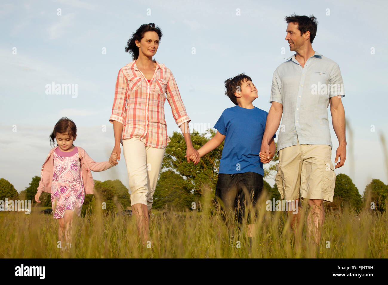 A family, two parents and two children walking hand in hand outdoors through long grass. Stock Photo
