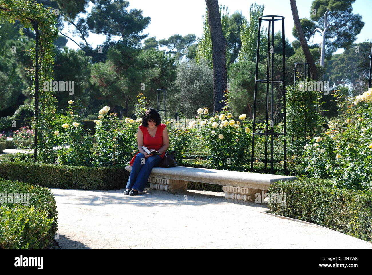 Woman sitting and reading a book on a bench in Buen Retiro Park, Madrid, Spain Stock Photo