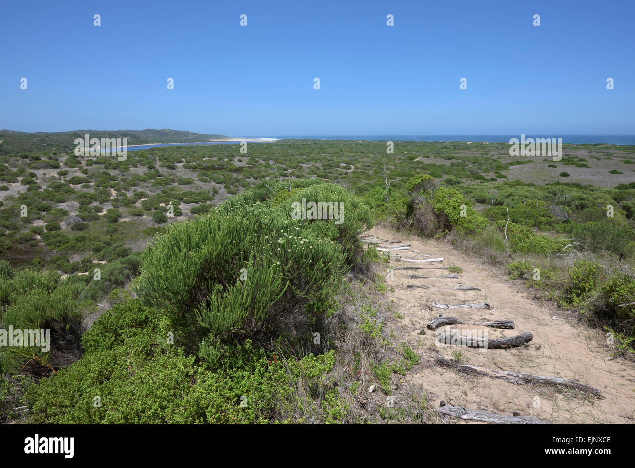 hiking trail in Goukamma Nature Reserve, South Africa Stock Photo
