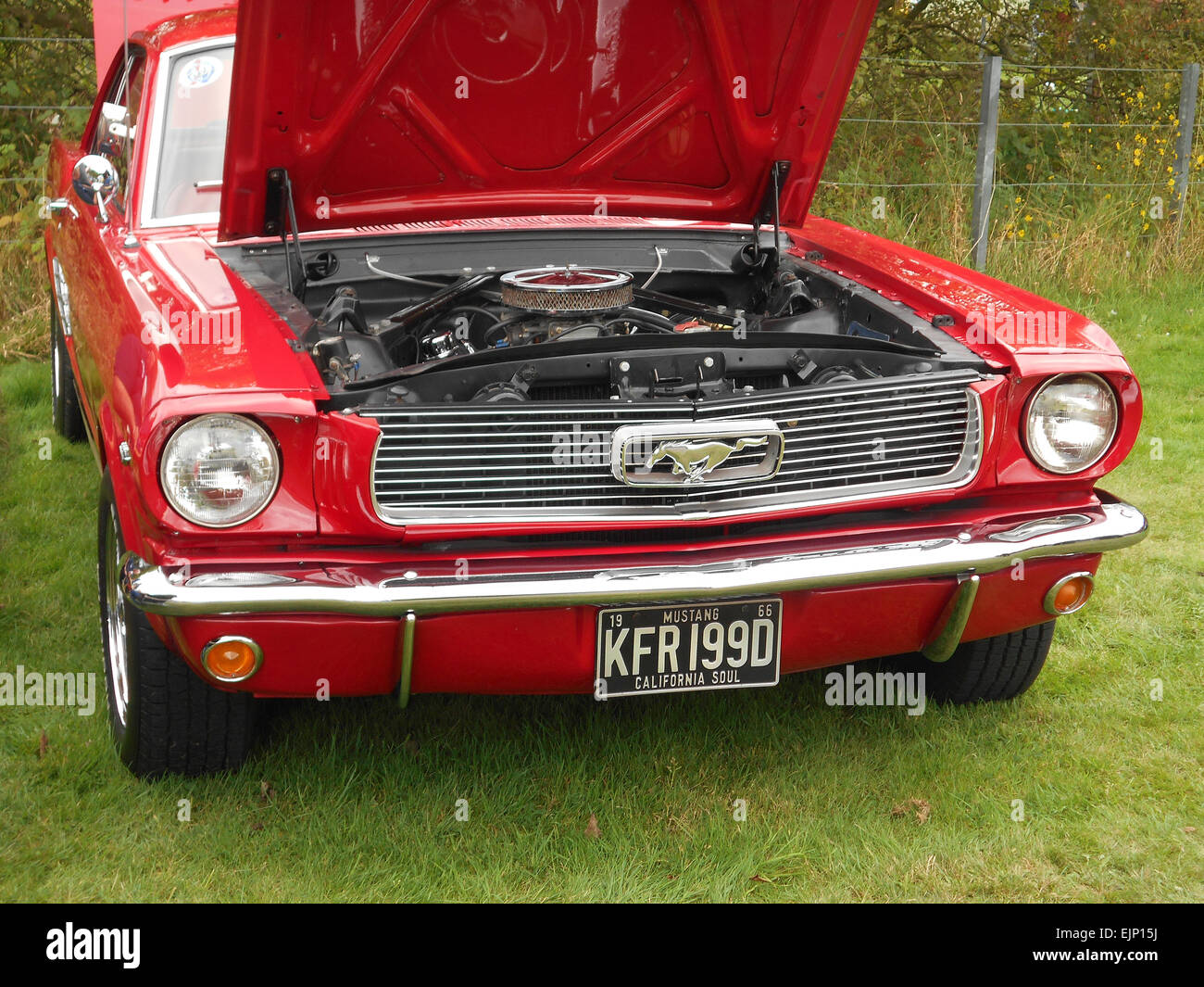 1960s Ford Mustang muscle car Stock Photo - Alamy, image size:1300x1065