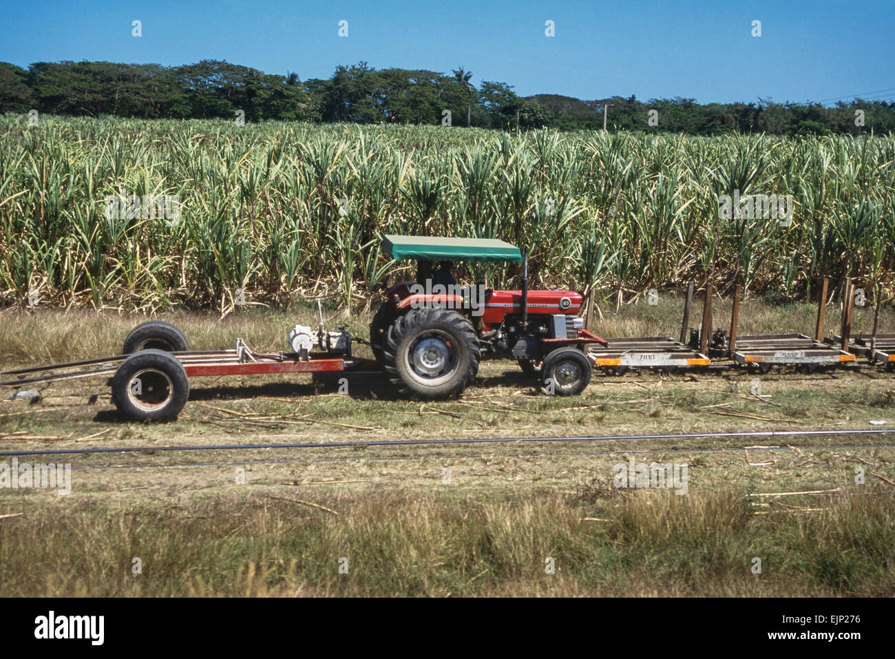 Sugar farmers in fiji hires stock photography and images Alamy