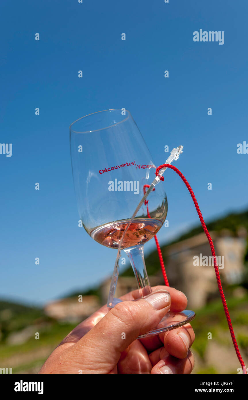 Wine tasting holiday around the vineyards of Gigondas AOC. Vaucluse. Provence-Alpes-Cote d'Azur region. France Stock Photo